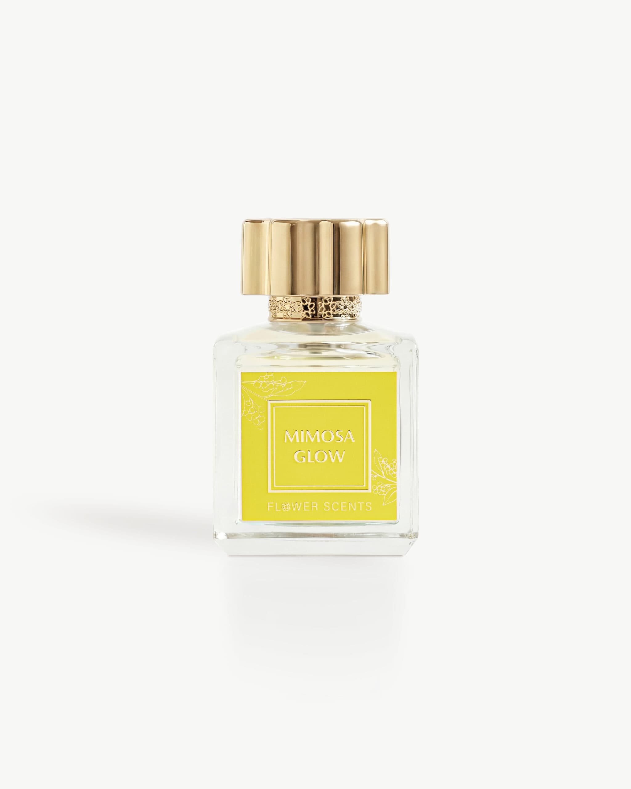 MIMOSA GLOW