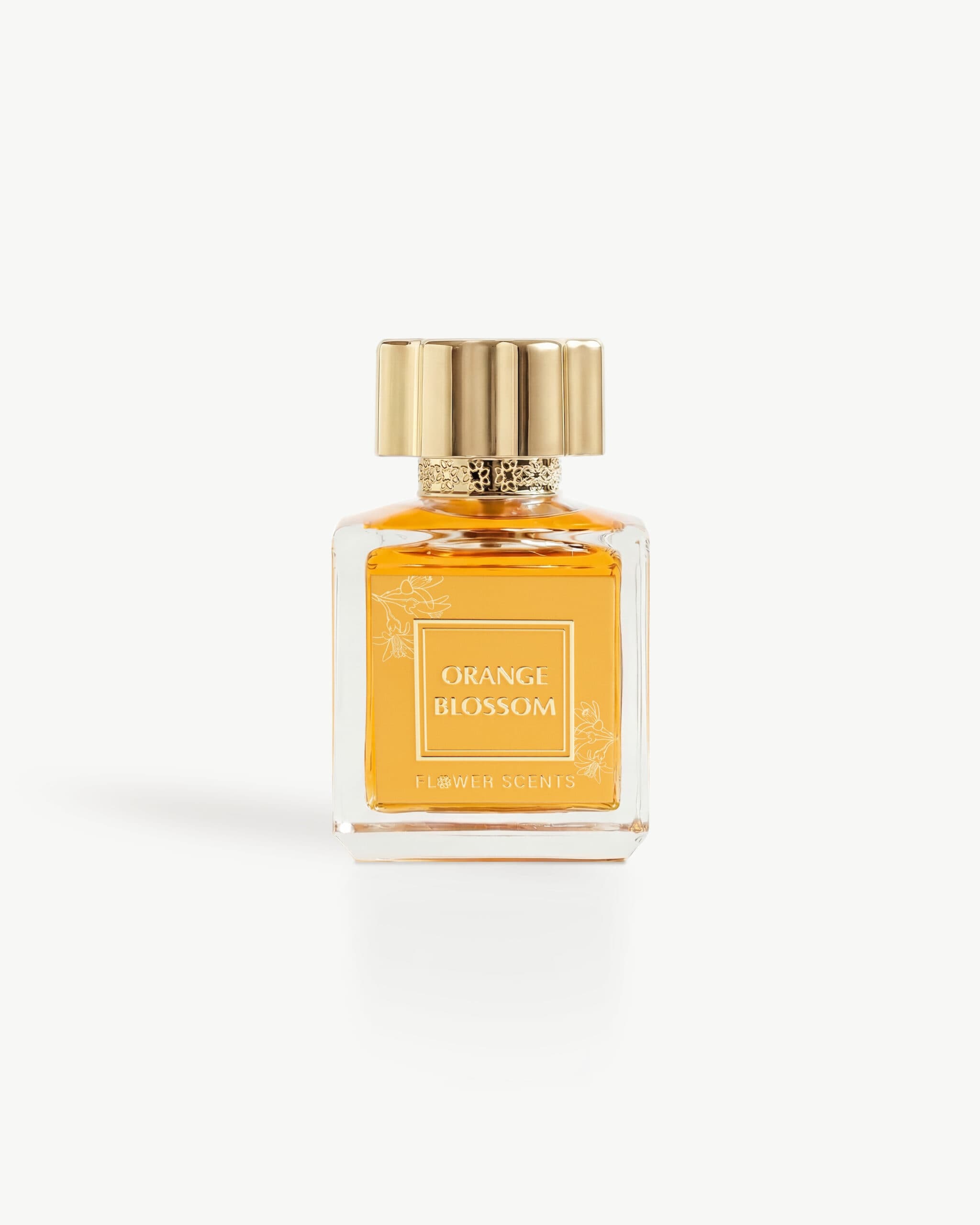 Orange Blossom image 1