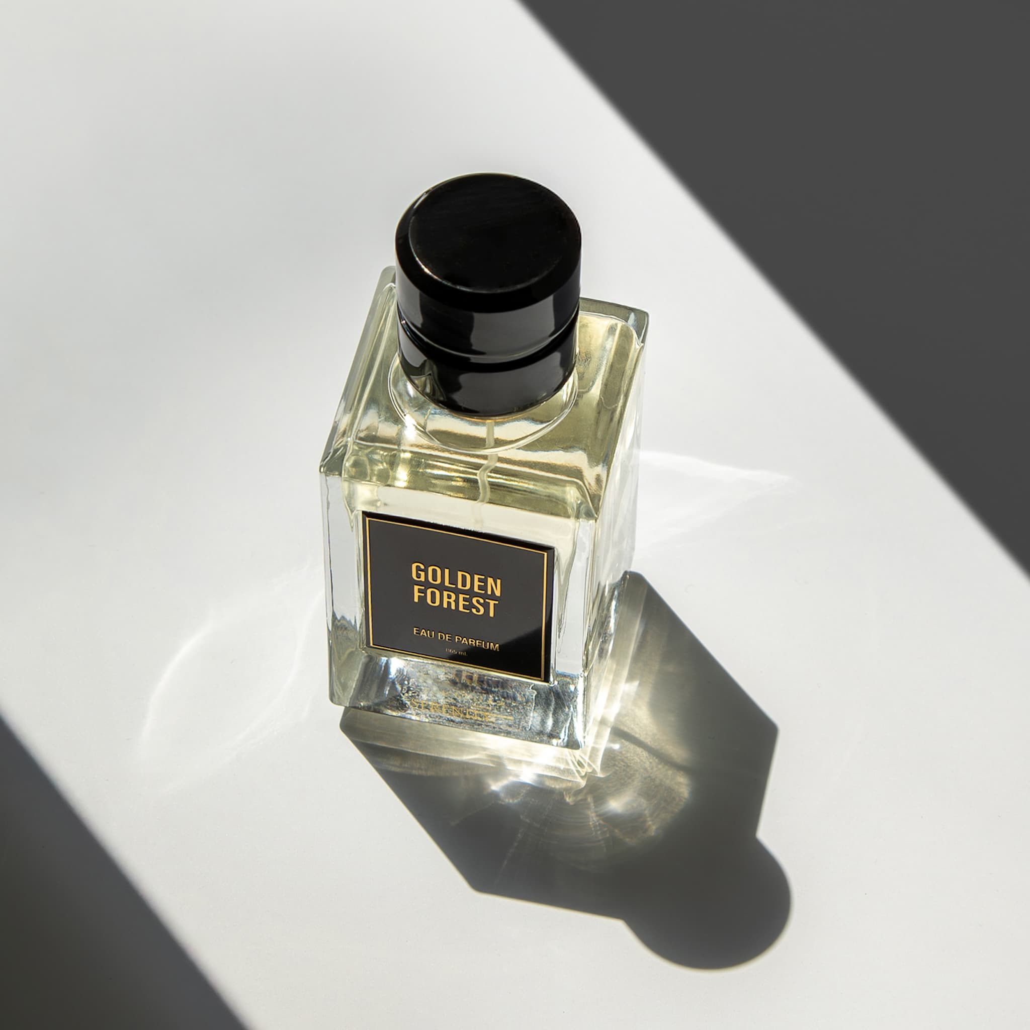 GOLDEN FOREST | Fragrance Network