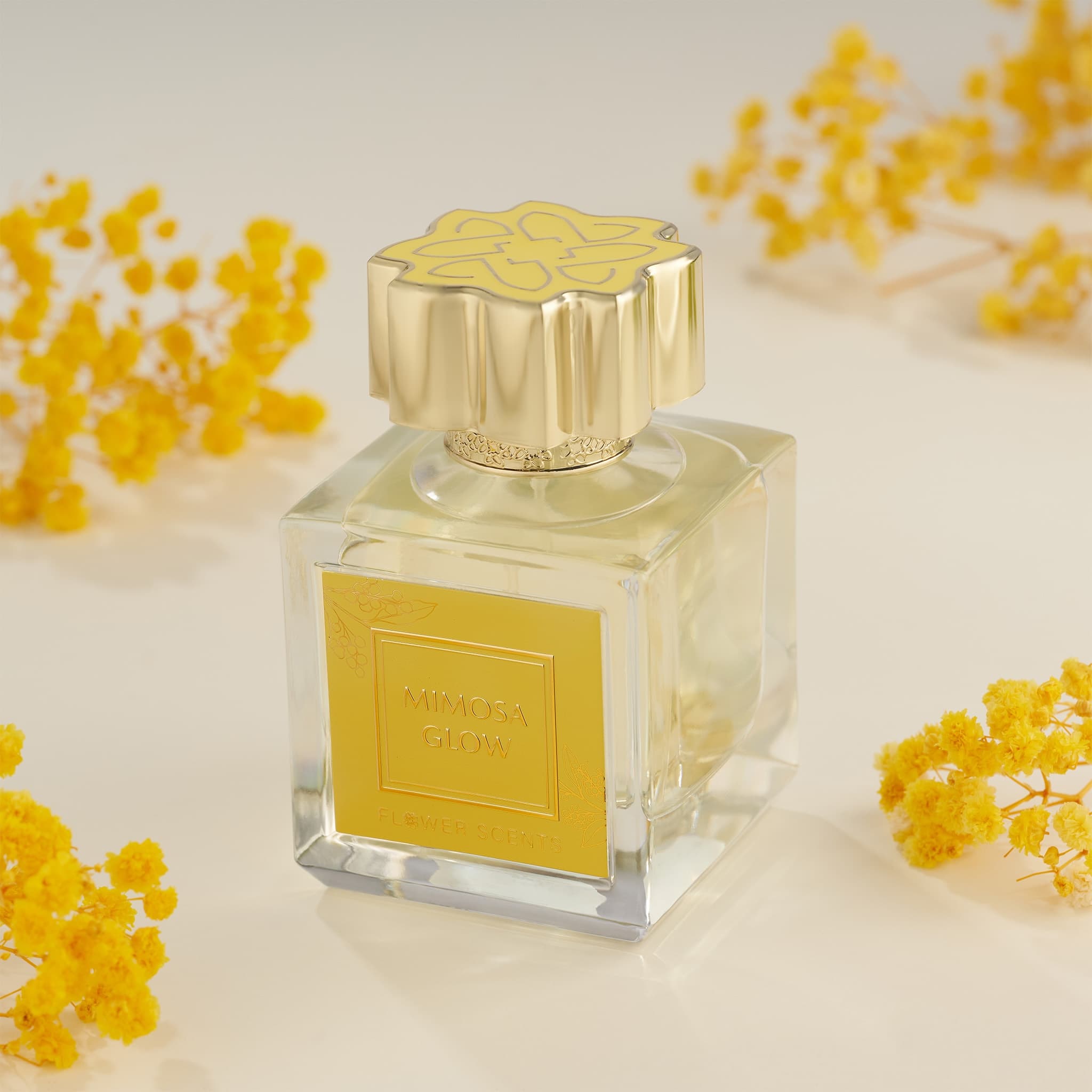 MIMOSA GLOW