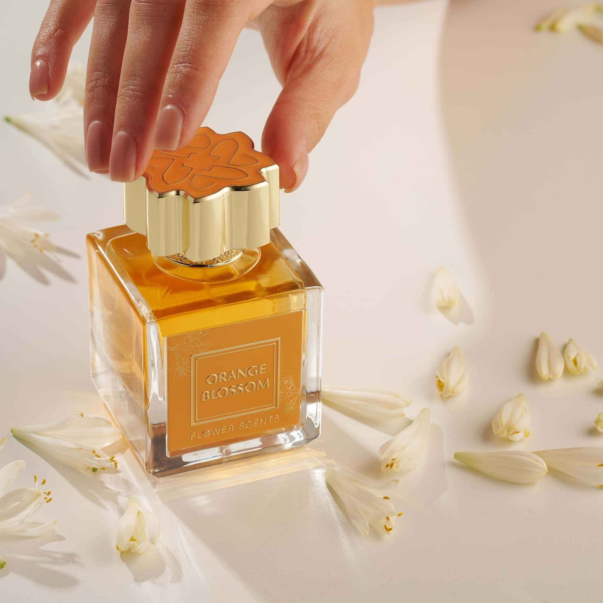 Orange Blossom image 6