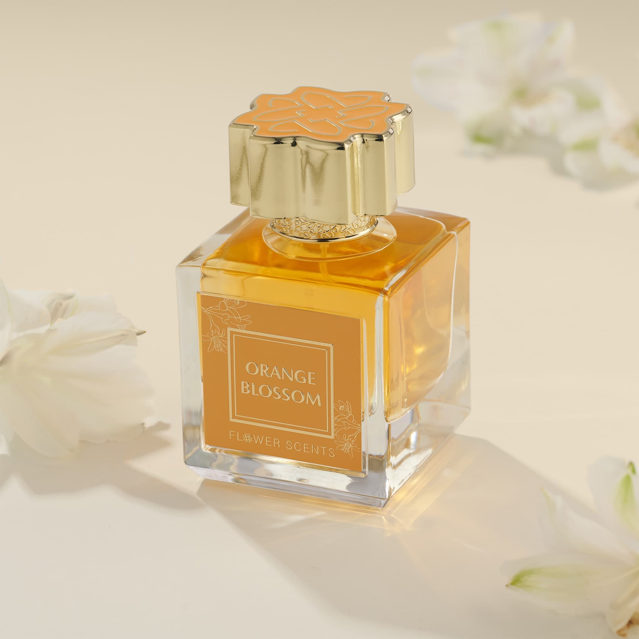 Orange Blossom thumbnail 7