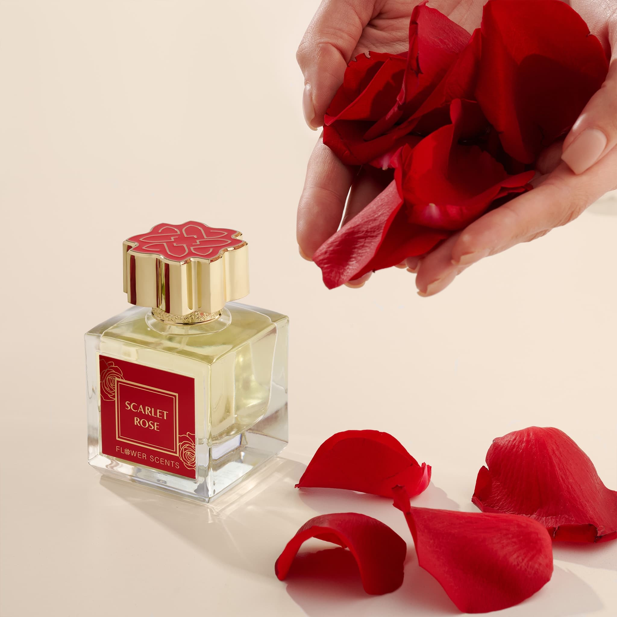 SCARLET ROSE | Fragrance Network