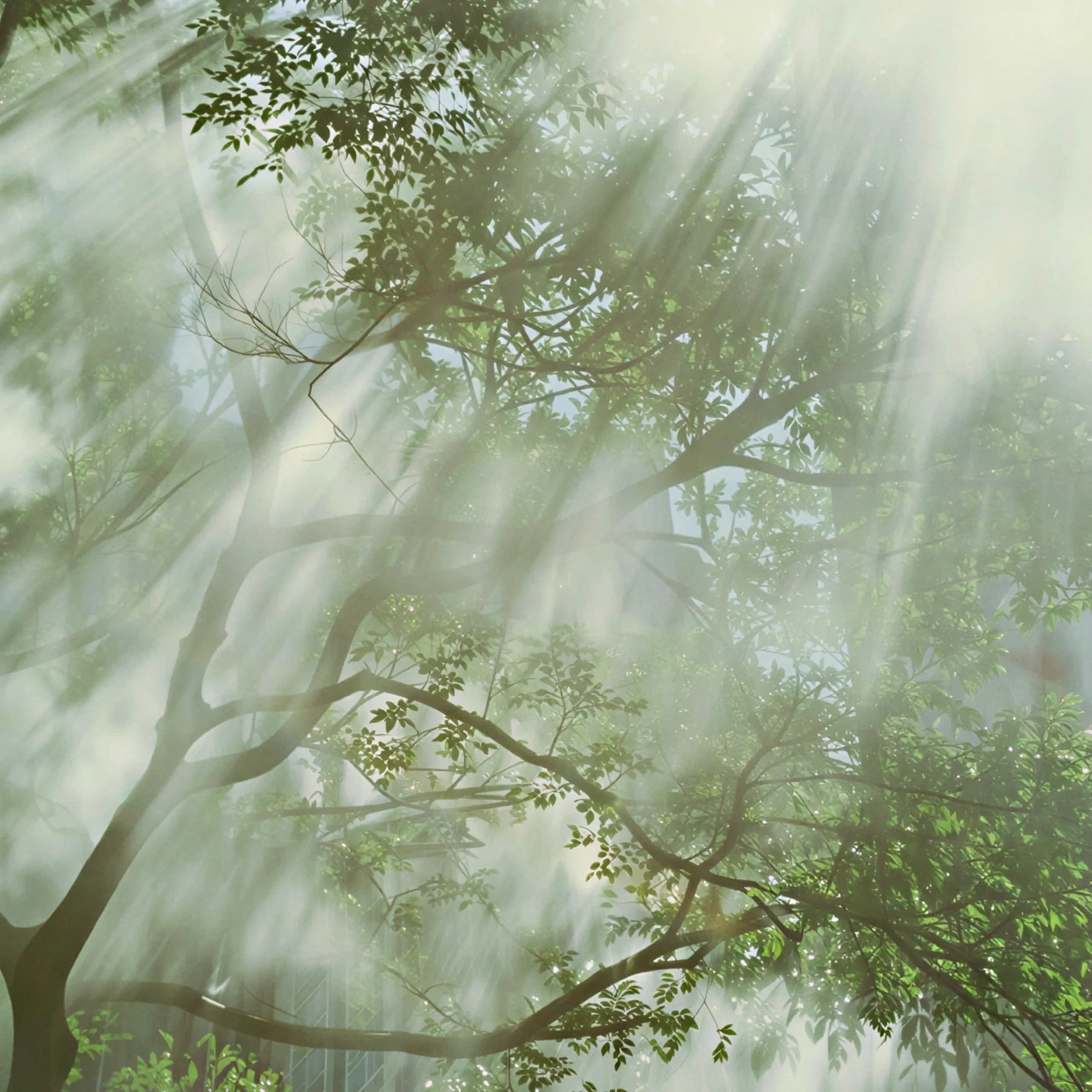 Serenity